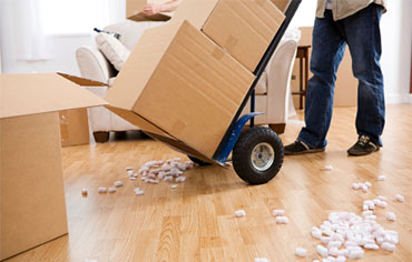 Költöztetés Költöztetés